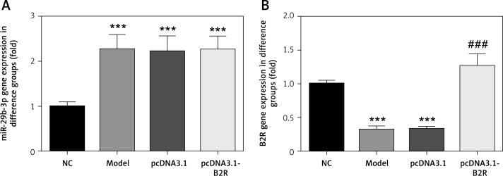 https://cdn.ncbi.nlm.nih.gov/pmc/blobs/979f/8924841/595bc1f2f0db/AMS-18-2-109125-g006.jpg