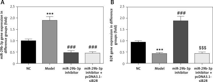 https://cdn.ncbi.nlm.nih.gov/pmc/blobs/979f/8924841/7da6f7fe1ec6/AMS-18-2-109125-g010.jpg