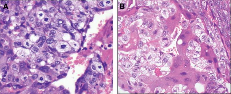 https://cdn.ncbi.nlm.nih.gov/pmc/blobs/97a0/10939666/5aa6831906e5/medi-103-e37510-g003.jpg