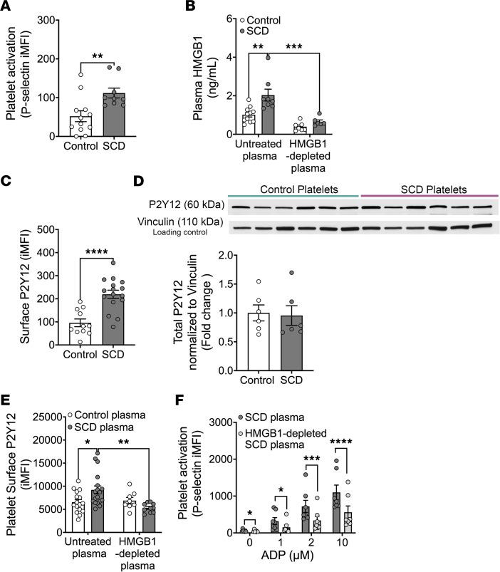 https://cdn.ncbi.nlm.nih.gov/pmc/blobs/97a0/10972595/64a922cb0c2a/jciinsight-9-174575-g255.jpg