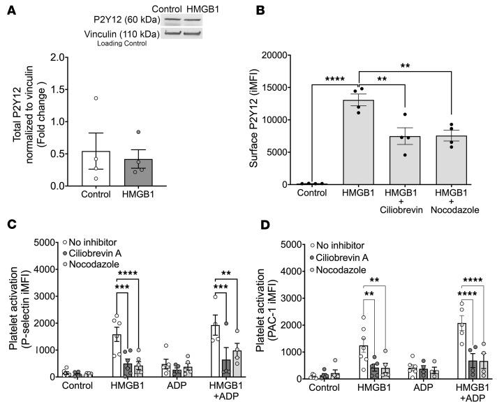 https://cdn.ncbi.nlm.nih.gov/pmc/blobs/97a0/10972595/824b0cc415d4/jciinsight-9-174575-g253.jpg
