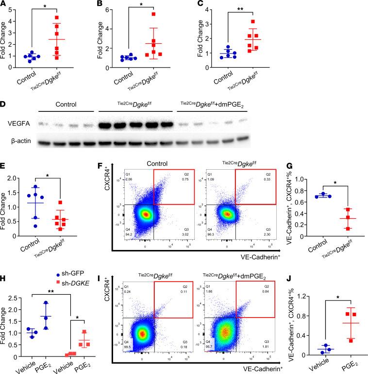 https://cdn.ncbi.nlm.nih.gov/pmc/blobs/97a0/8262293/ac509ddabd68/jciinsight-6-146959-g016.jpg