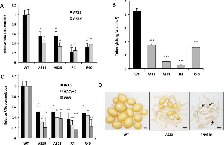 https://cdn.ncbi.nlm.nih.gov/pmc/blobs/97a1/4623692/885909205bcb/exbotj_erv389_f0005.jpg