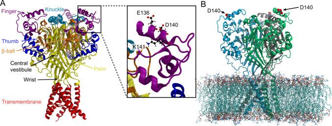 https://cdn.ncbi.nlm.nih.gov/pmc/blobs/97a1/9483922/a969c913452d/jp2c04593_0001.jpg