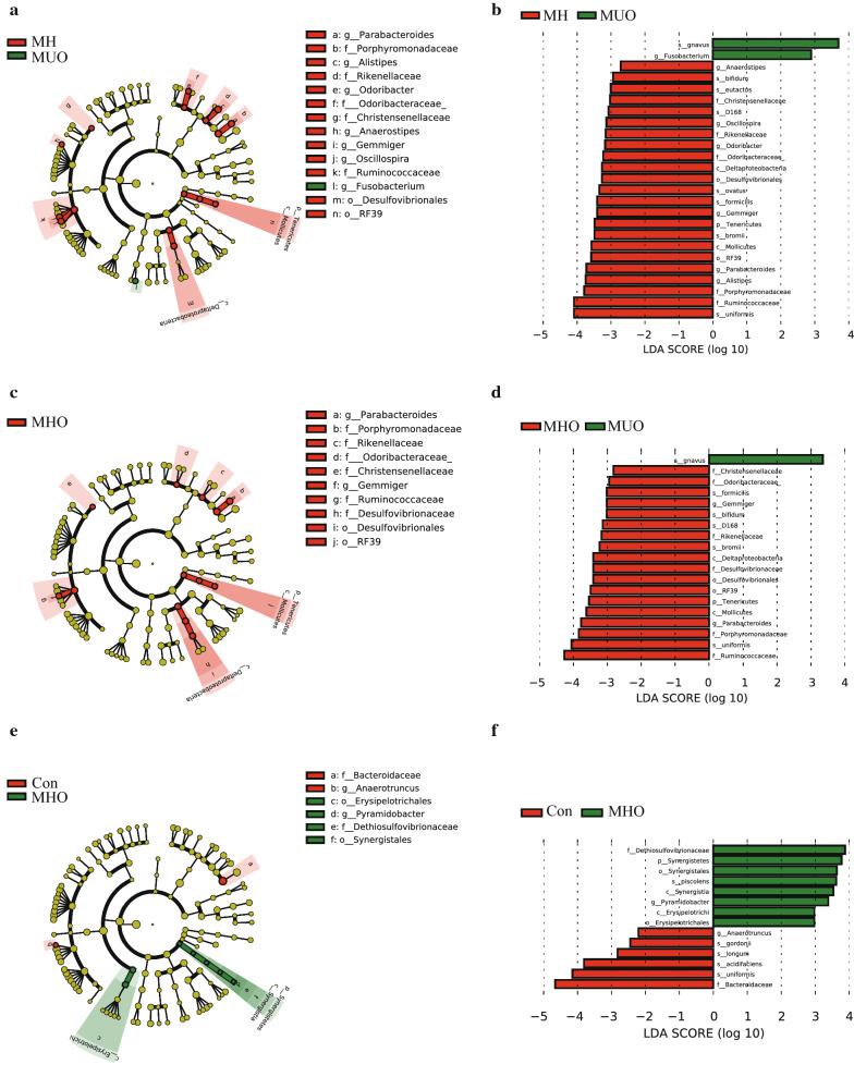 https://cdn.ncbi.nlm.nih.gov/pmc/blobs/97a2/7916301/0433ed8390b3/12934_2021_1548_Fig3_HTML.jpg