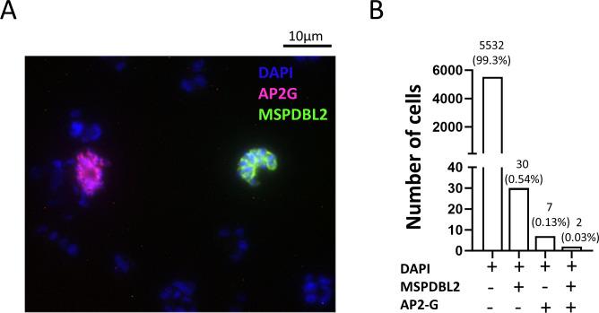 https://cdn.ncbi.nlm.nih.gov/pmc/blobs/97a3/11077968/093f48982434/mbio.03140-23.f005.jpg