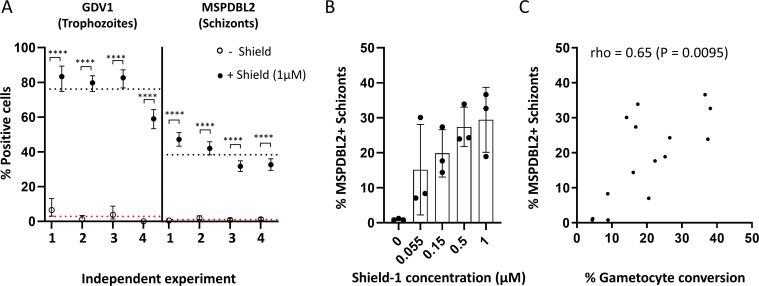 https://cdn.ncbi.nlm.nih.gov/pmc/blobs/97a3/11077968/ce3c0c418a2e/mbio.03140-23.f001.jpg