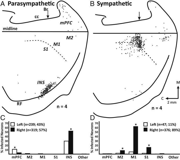 https://cdn.ncbi.nlm.nih.gov/pmc/blobs/97a5/7293610/02ede26c35ee/pnas.2002737117fig02.jpg