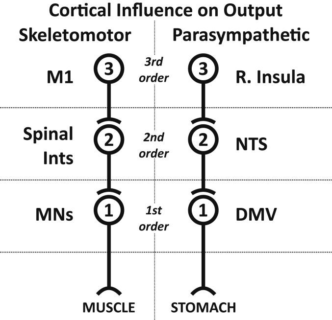 https://cdn.ncbi.nlm.nih.gov/pmc/blobs/97a5/7293610/8789be948bf9/pnas.2002737117fig06.jpg
