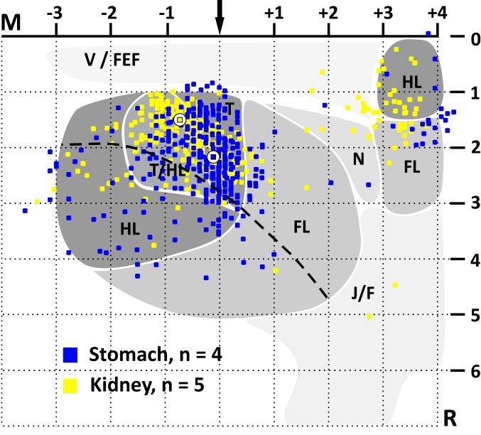 https://cdn.ncbi.nlm.nih.gov/pmc/blobs/97a5/7293610/cbae5bdec362/pnas.2002737117fig04.jpg