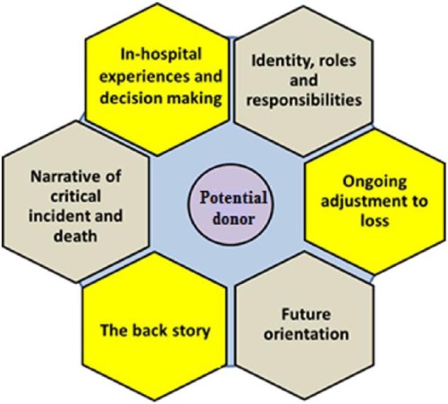 https://cdn.ncbi.nlm.nih.gov/pmc/blobs/97a6/5779939/95f1a628a7ff/10.1177_2055102917742918-fig2.jpg