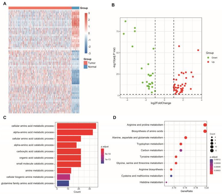 https://cdn.ncbi.nlm.nih.gov/pmc/blobs/97a6/9778477/141bcdb7dce9/genes-13-02295-g001.jpg