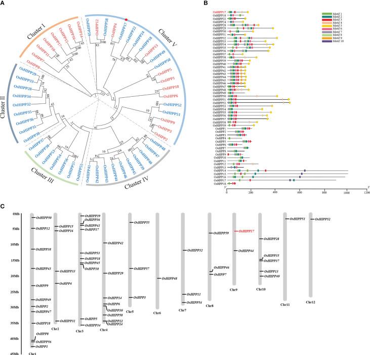 https://cdn.ncbi.nlm.nih.gov/pmc/blobs/97a8/10359898/1fa398c36e0a/fpls-14-1183445-g001.jpg