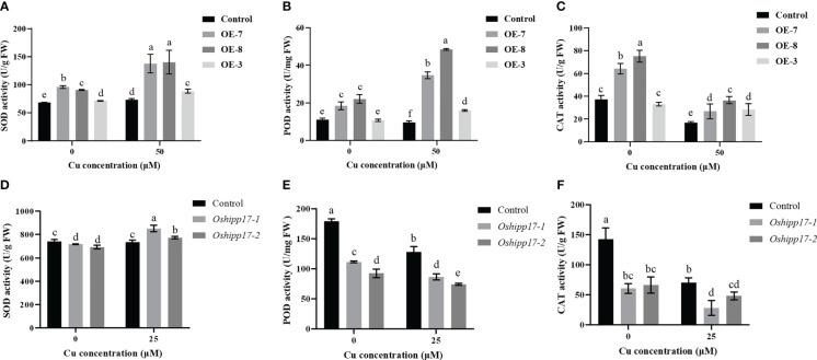 https://cdn.ncbi.nlm.nih.gov/pmc/blobs/97a8/10359898/bef2f4569968/fpls-14-1183445-g008.jpg