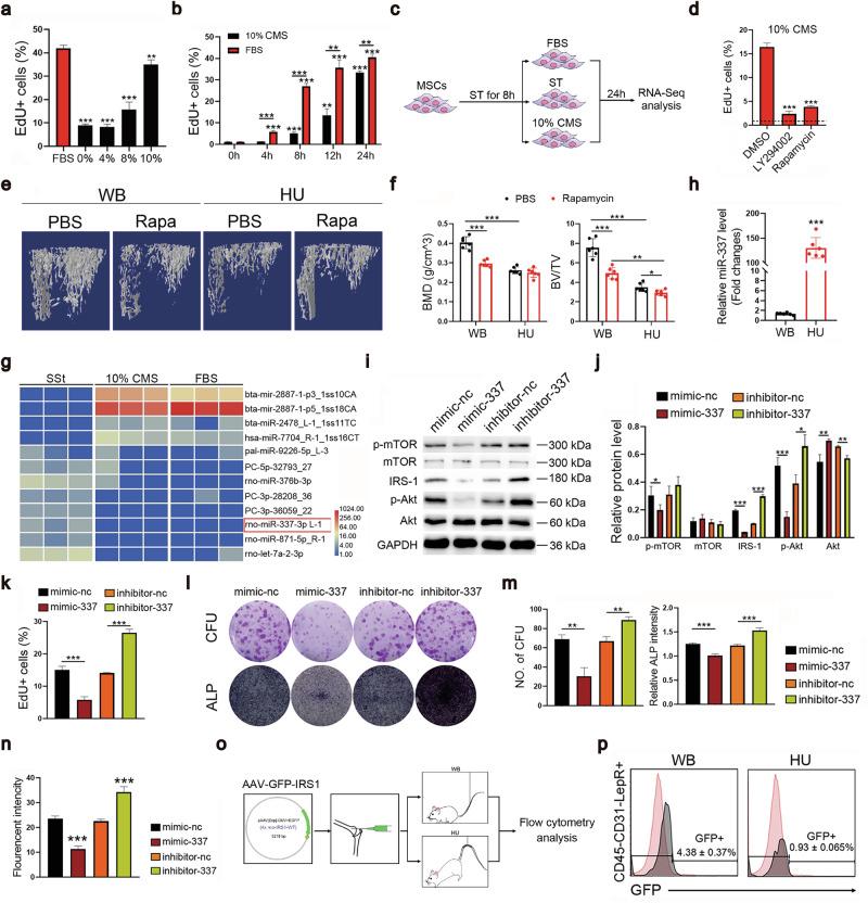 https://cdn.ncbi.nlm.nih.gov/pmc/blobs/97ae/12378244/86ec83182fbf/41421_2025_822_Fig3_HTML.jpg