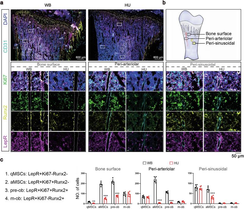 https://cdn.ncbi.nlm.nih.gov/pmc/blobs/97ae/12378244/cdfaccaef428/41421_2025_822_Fig2_HTML.jpg
