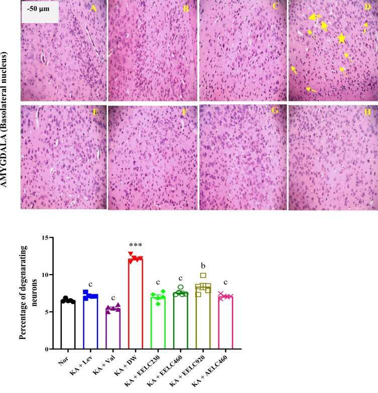 https://cdn.ncbi.nlm.nih.gov/pmc/blobs/97af/11530853/a5d75ea63e10/gr13.jpg