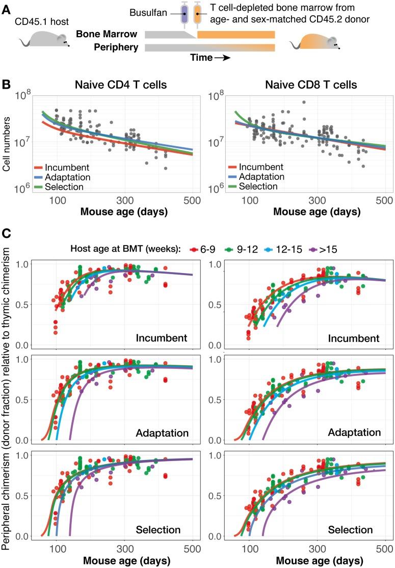 https://cdn.ncbi.nlm.nih.gov/pmc/blobs/97af/5894957/0396711a25b1/pbio.2003949.g003.jpg