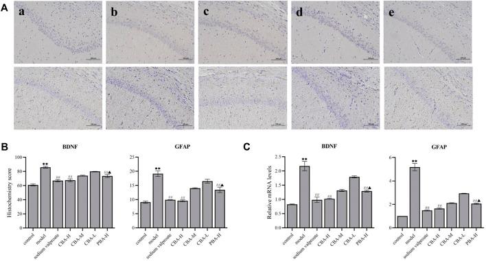 https://cdn.ncbi.nlm.nih.gov/pmc/blobs/97b1/9196122/ef00edca2771/fphar-13-889055-g007.jpg