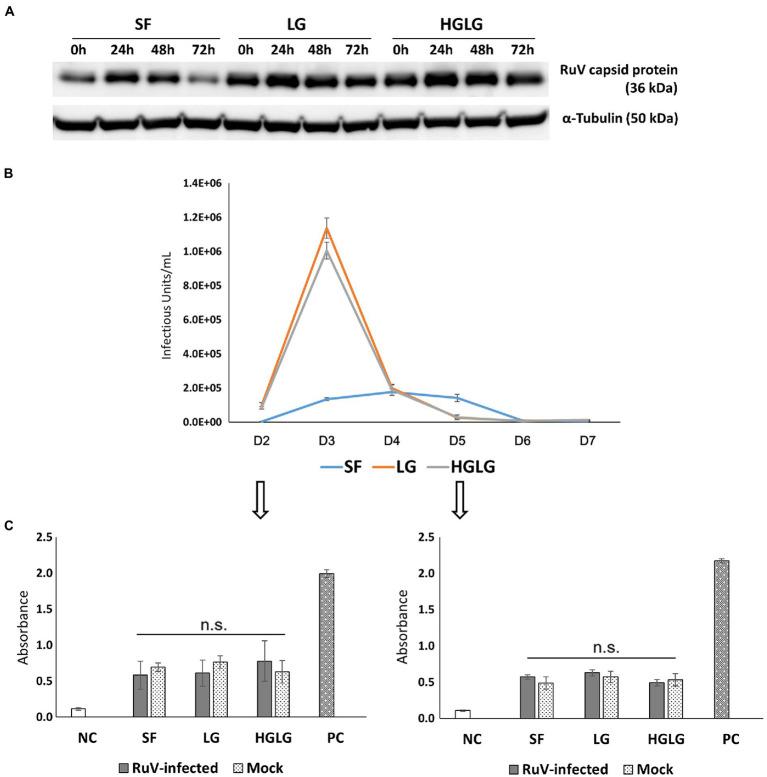 https://cdn.ncbi.nlm.nih.gov/pmc/blobs/97b2/9304883/4d292fff094c/fmicb-13-904189-g004.jpg