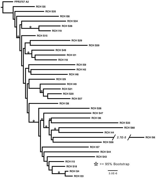 https://cdn.ncbi.nlm.nih.gov/pmc/blobs/97b7/3598774/2184d2353011/1471-2164-13-508-2.jpg