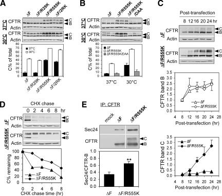 https://cdn.ncbi.nlm.nih.gov/pmc/blobs/97b9/2820424/0c73bdc730c5/zmk0041093480007.jpg