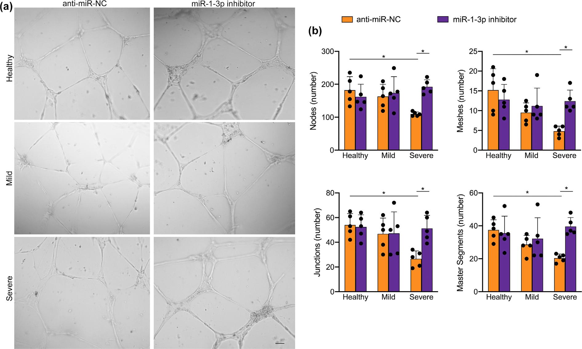 https://cdn.ncbi.nlm.nih.gov/pmc/blobs/97ba/11791538/e3755e91e6dc/nihms-2048403-f0007.jpg