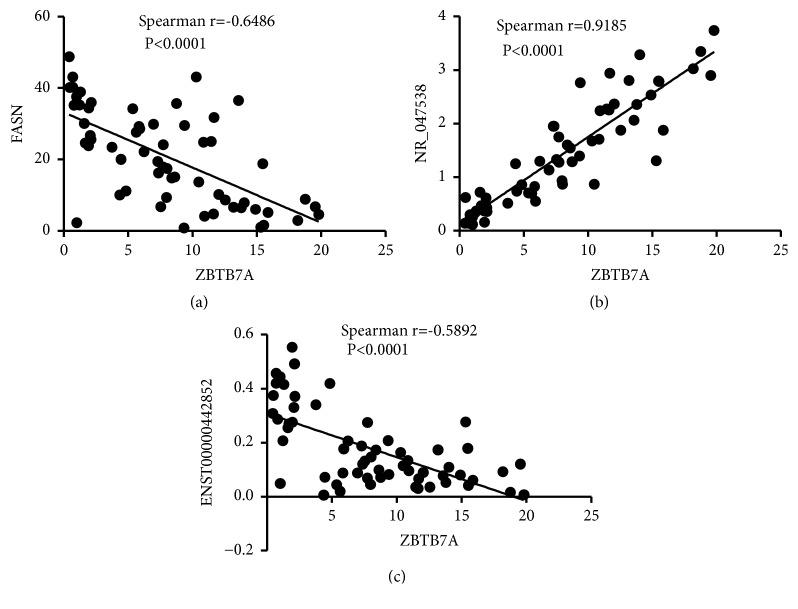 https://cdn.ncbi.nlm.nih.gov/pmc/blobs/97bc/6594332/5eee796a90e5/BMRI2019-7246491.007.jpg