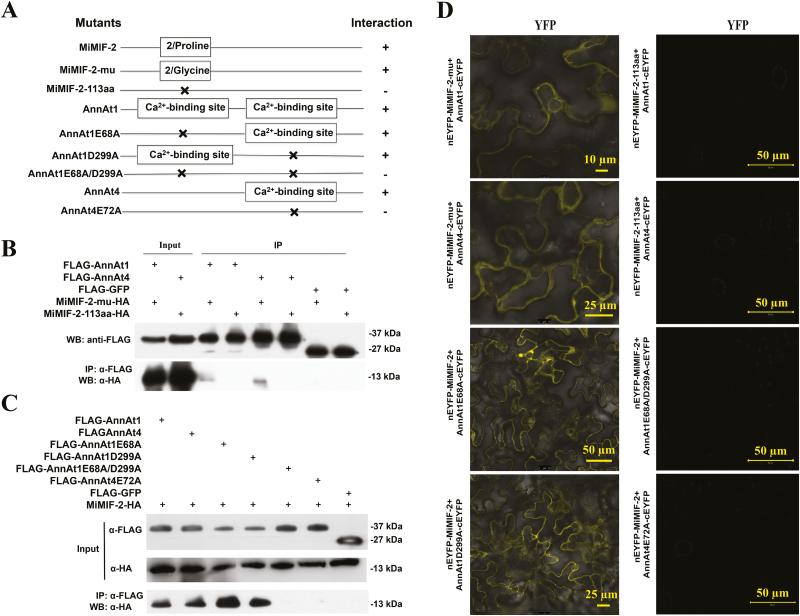 https://cdn.ncbi.nlm.nih.gov/pmc/blobs/97bd/6812717/8ec3b2cb7011/erz348f0007.jpg