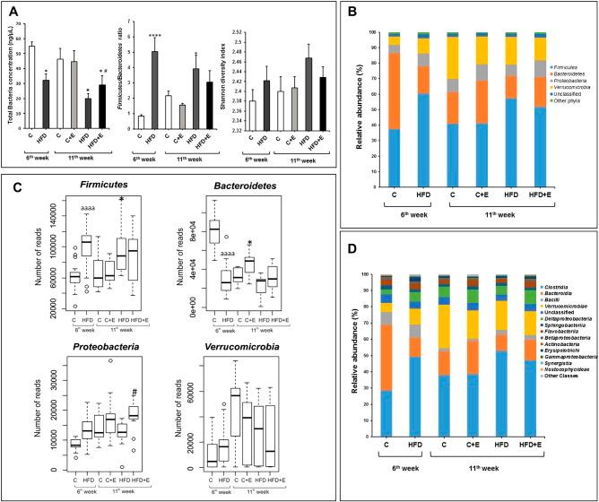 https://cdn.ncbi.nlm.nih.gov/pmc/blobs/97be/6550047/4bf41fef62db/dmm-12-039206-g2.jpg