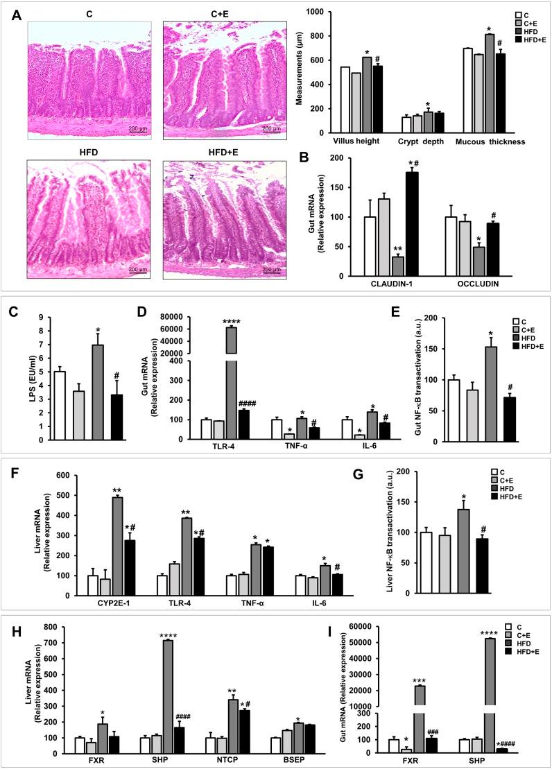 https://cdn.ncbi.nlm.nih.gov/pmc/blobs/97be/6550047/b4f713298fdf/dmm-12-039206-g6.jpg