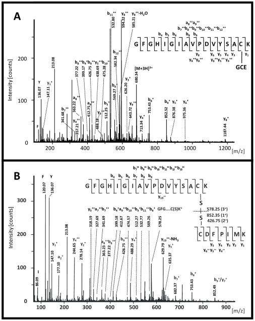 https://cdn.ncbi.nlm.nih.gov/pmc/blobs/97bf/2861629/8a3b55c826ff/pone.0010399.g003.jpg