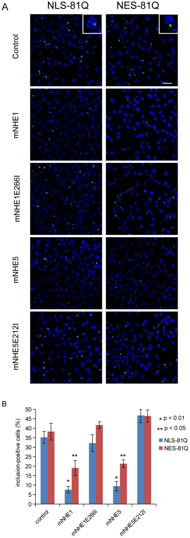 https://cdn.ncbi.nlm.nih.gov/pmc/blobs/97c1/3836979/2541c6e233f9/pone.0081313.g004.jpg