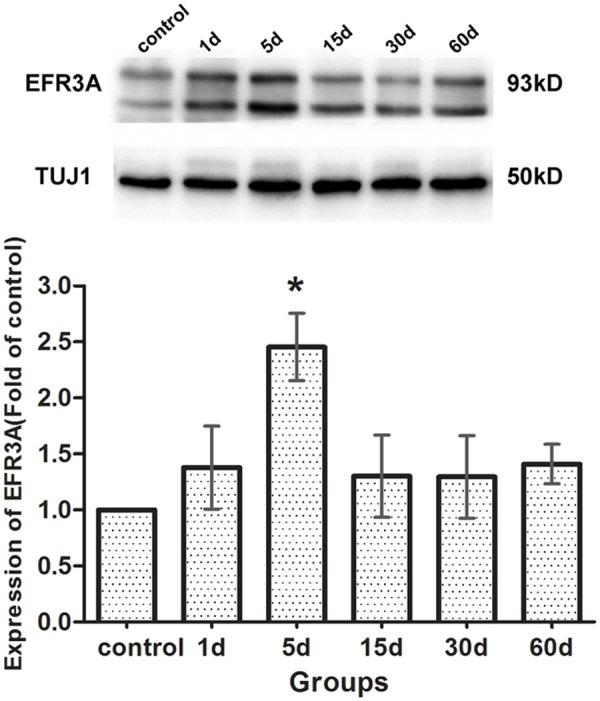 https://cdn.ncbi.nlm.nih.gov/pmc/blobs/97c1/4306511/6f434cb14764/pone.0117345.g008.jpg