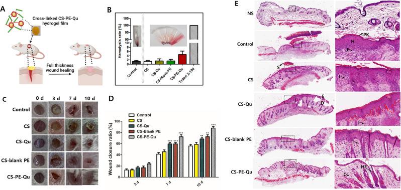 https://cdn.ncbi.nlm.nih.gov/pmc/blobs/97c3/11162036/32f0c0e907c1/12951_2024_2596_Fig10_HTML.jpg