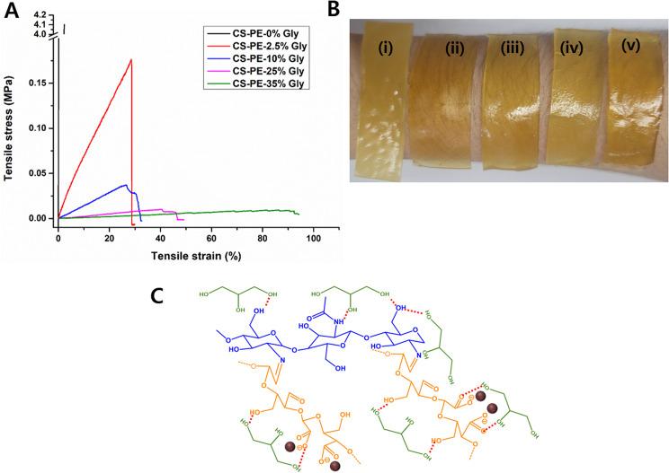https://cdn.ncbi.nlm.nih.gov/pmc/blobs/97c3/11162036/85cce69a8c3b/12951_2024_2596_Fig6_HTML.jpg