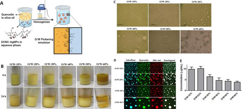 https://cdn.ncbi.nlm.nih.gov/pmc/blobs/97c3/11162036/a686b000cf65/12951_2024_2596_Fig3_HTML.jpg