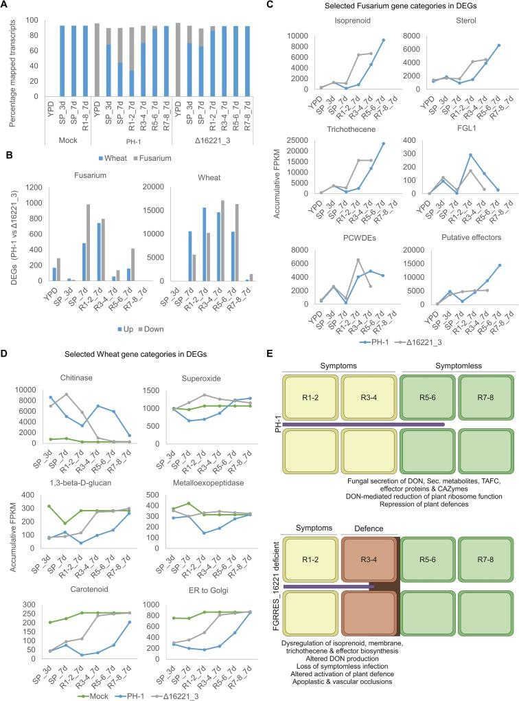 https://cdn.ncbi.nlm.nih.gov/pmc/blobs/97c3/6459559/11b0e5f77043/ppat.1007666.g008.jpg