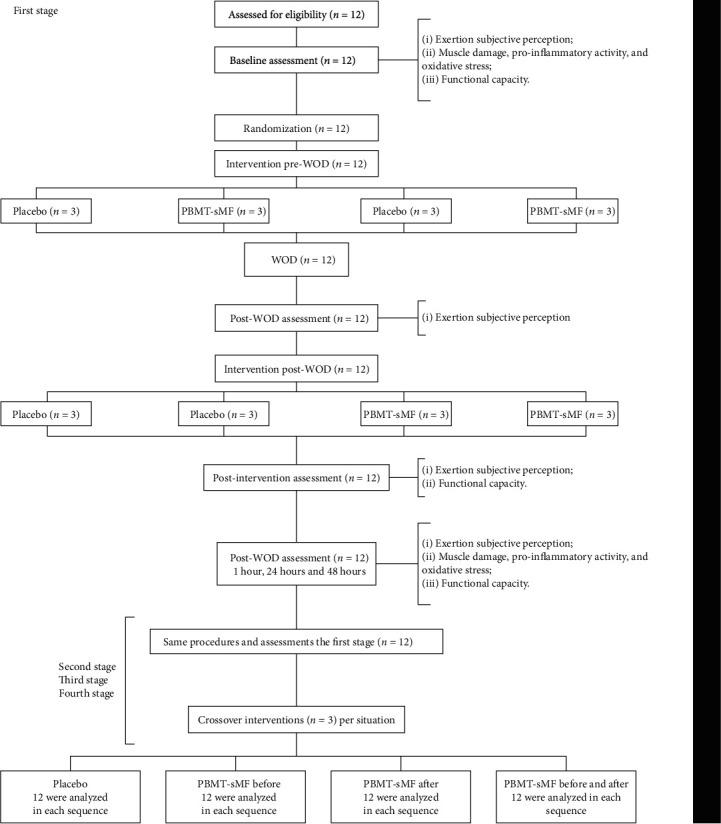https://cdn.ncbi.nlm.nih.gov/pmc/blobs/97c3/9325605/ce6d715e7f8c/OMCL2022-9968428.001.jpg