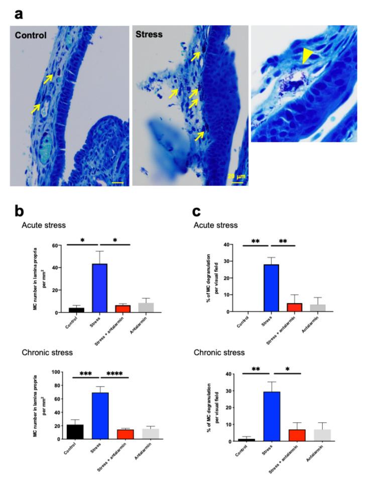 https://cdn.ncbi.nlm.nih.gov/pmc/blobs/97c5/7967145/5efa4cb32f08/ijms-22-02773-g006.jpg