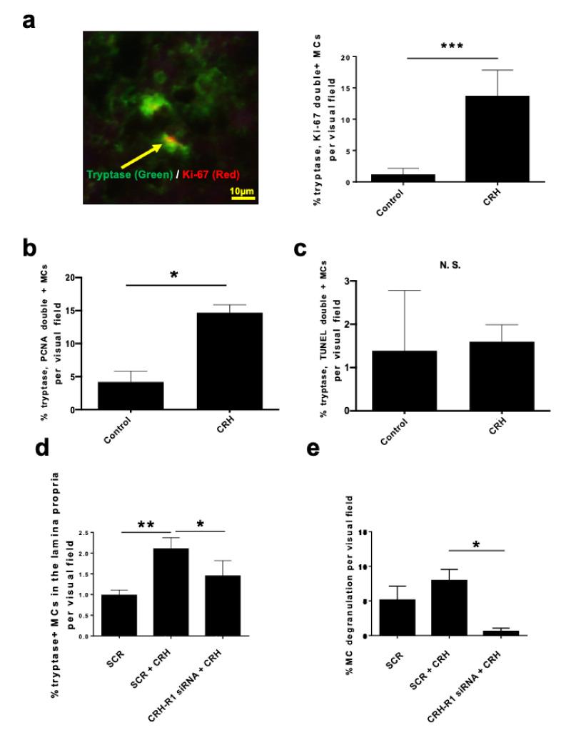 https://cdn.ncbi.nlm.nih.gov/pmc/blobs/97c5/7967145/812a0f79bf82/ijms-22-02773-g003.jpg