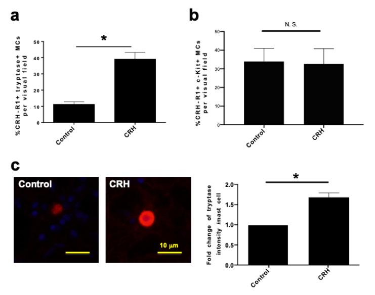 https://cdn.ncbi.nlm.nih.gov/pmc/blobs/97c5/7967145/b95981a3ec2a/ijms-22-02773-g005.jpg