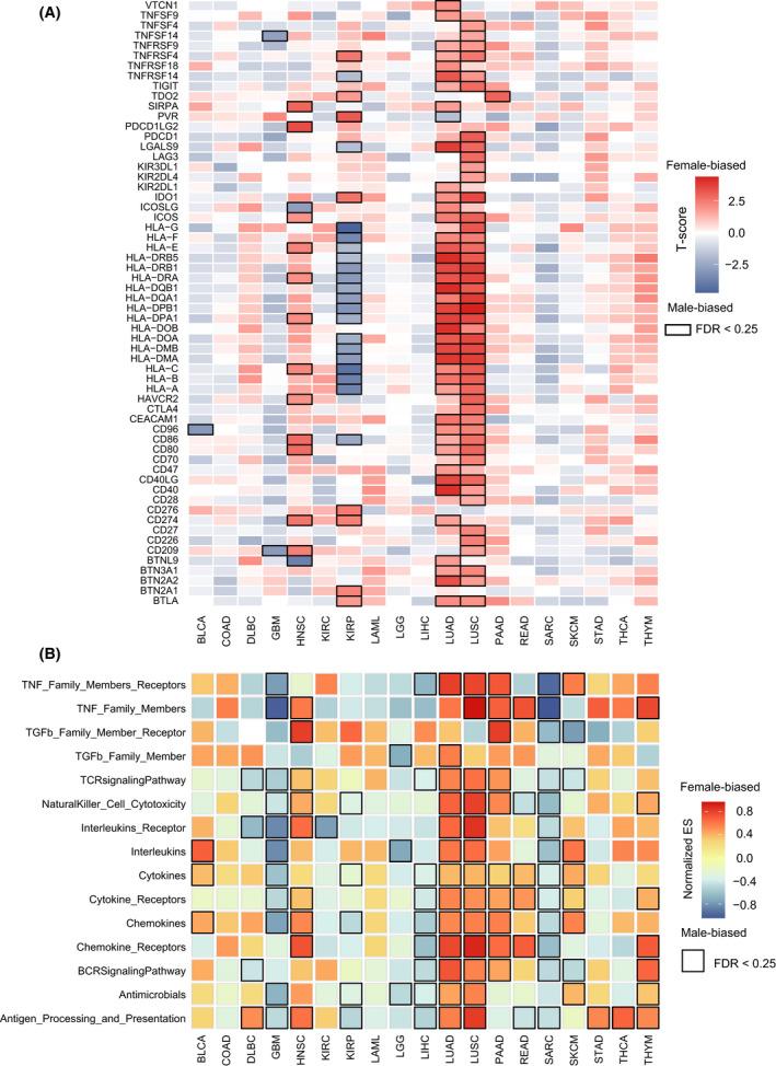 https://cdn.ncbi.nlm.nih.gov/pmc/blobs/97c5/9168759/07233712aa1c/MOL2-16-2153-g008.jpg