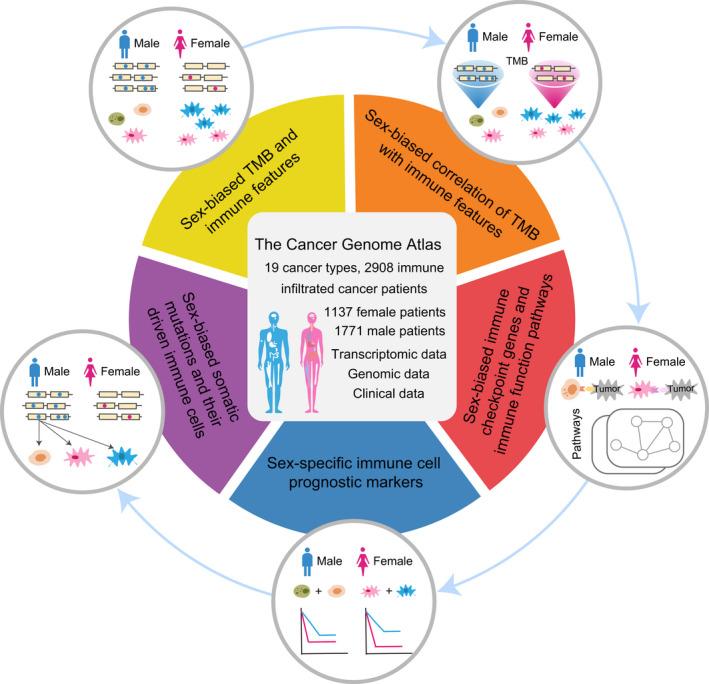 https://cdn.ncbi.nlm.nih.gov/pmc/blobs/97c5/9168759/304324a30c8e/MOL2-16-2153-g001.jpg
