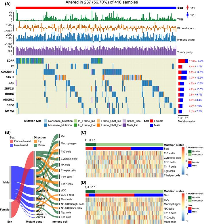 https://cdn.ncbi.nlm.nih.gov/pmc/blobs/97c5/9168759/fb48db9b3fd2/MOL2-16-2153-g003.jpg