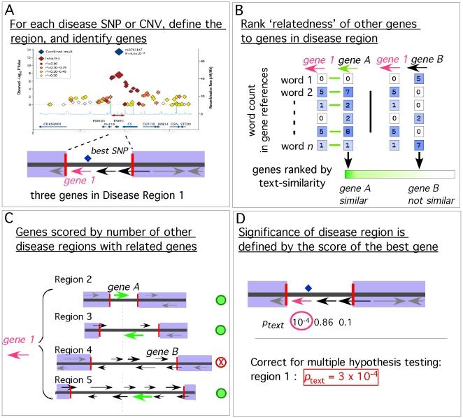 https://cdn.ncbi.nlm.nih.gov/pmc/blobs/97c8/2694358/60fd4261d4bb/pgen.1000534.g001.jpg