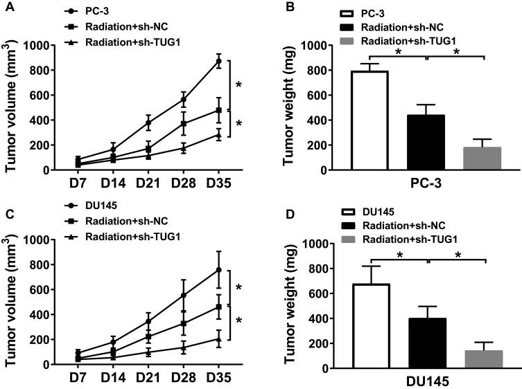 https://cdn.ncbi.nlm.nih.gov/pmc/blobs/97c9/7085951/939400d2554a/OTT-13-2319-g0007.jpg