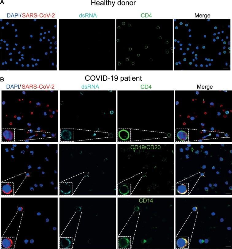 https://cdn.ncbi.nlm.nih.gov/pmc/blobs/97cc/9384834/171ee37333d9/mjac021fig4.jpg