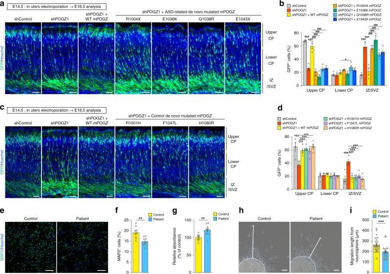 https://cdn.ncbi.nlm.nih.gov/pmc/blobs/97cd/7044294/4cb2d4bab997/41467_2020_14697_Fig4_HTML.jpg