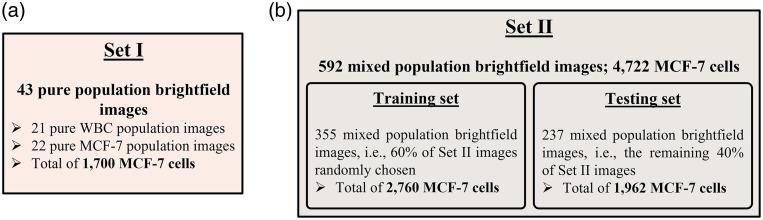 https://cdn.ncbi.nlm.nih.gov/pmc/blobs/97cd/9278981/b227caf9fc77/JBO-027-076003-g002.jpg
